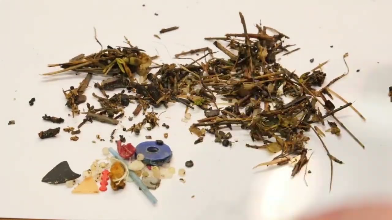 Analysing a microplastic sample from West Wittering Beach