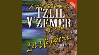 Video thumbnail of "Tzlil V'zemer Boys Choir - Vesamachto"