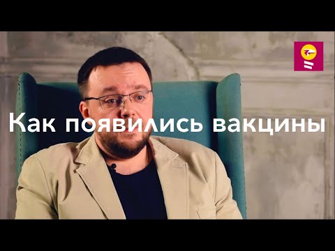 Видео: Лапароскопическая овариэктомия у собак в позднем сроке беременности