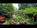My Tiny Tropical Zen Garden Tour With Fish Pond & Commentary.