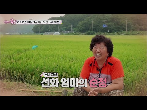 그리운 바다 고마운 당신_엄마의 봄날 369회 예고 TV CHOSUN 221009 방송