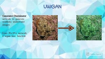 Underwater Image Enhancement