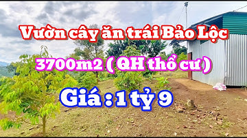 CÔ CHÚ CẦN TIỀN BÁN GẤP MẢNH VƯỜN CÂY ĂN TRÁI TÂM HUYẾT ĐỂ LẤY TIỀN CHO CON MUA NHÀ Ở TRUNG TÂM