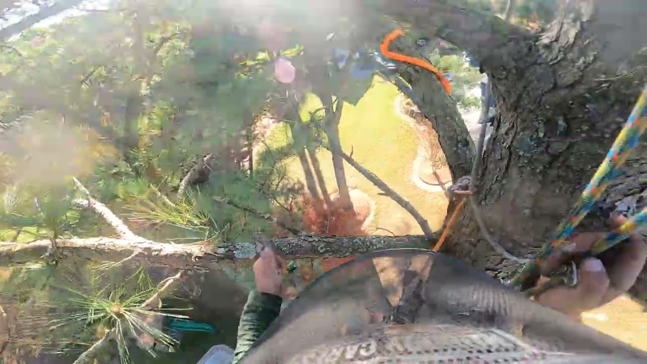 That Was Close… Final Pine of The Day Has a Near Miss!