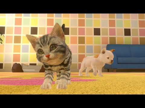 How to Get New Pets Little Friends Dogs and Cats