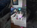thank you and please help spread my 6 dogs in Las Vegas to become paid pet content creator #viral
