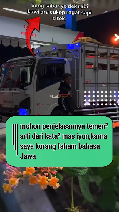 ada yang tau arti dari kata mas iyun,ini Bollo!? #masiyun #sobatngarit #kandangsobatngarit #deliwafa