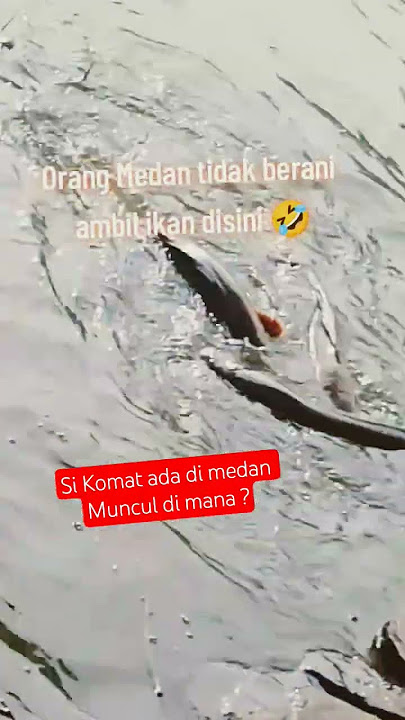 si komat muncul#komatv #kangenband #beranda #fypシ゚viral #duet #medanviral #music #lagu #sikomat #fyp
