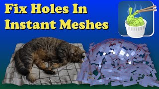 Fix Holes in Instant Meshes