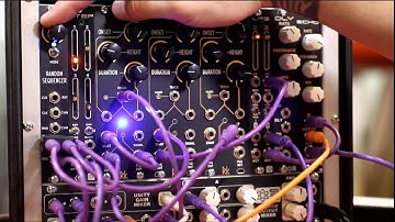 RANDOM SEQUENCER - Rat King Modular - 8 & 16 Step (and full random) Sequencer Module Demo