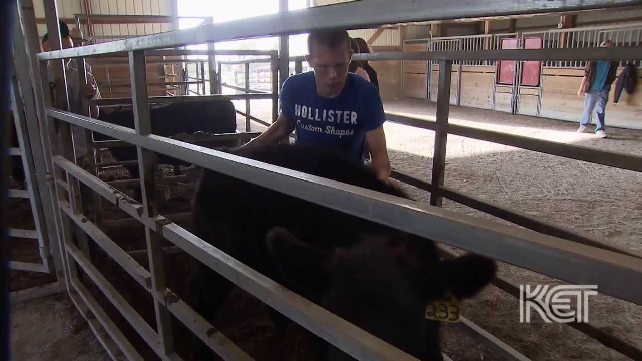 local meat butchers FFA in School Cafeterias | Well Fed | KET