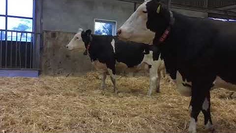 24d48370 ef09 4c8d b95a bf22dd9eb2c4