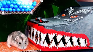 🐹🐲 DRAGON Hamster Maze with Traps 😱[OBSTACLE COURSE]😱 + DRAGON and SNAKE by DIY Hamster Maze 1,008,420 views 2 years ago 11 minutes, 14 seconds