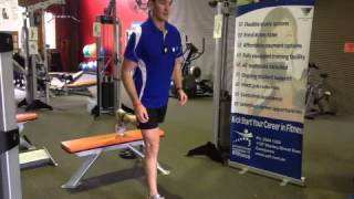 Single Leg box hops