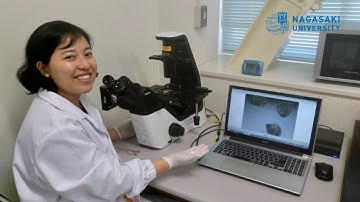 Nagasaki University Graduate School of Fisheries and Environmental Sciences