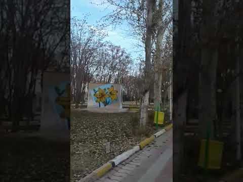 به یاد مجاهد قهرمان طاهره طلوع بیدختی فرمانده سارا کانون شورشی شریف آباد پاکدشت