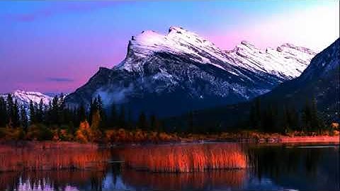 سورة الواقعة صوت هادئ وخاشع القارئ إسلام صبحي