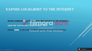 ngrok | Expose your local web server to the internet | access your localhost from anywhere