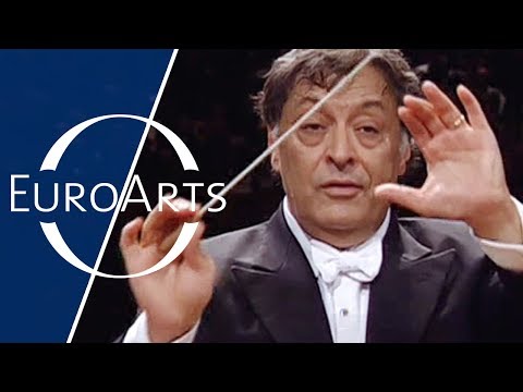 Brahms - Symphony No. 2 in D major, Op. 73 (Zubin Mehta & Israel Philharmonic Orchestra)