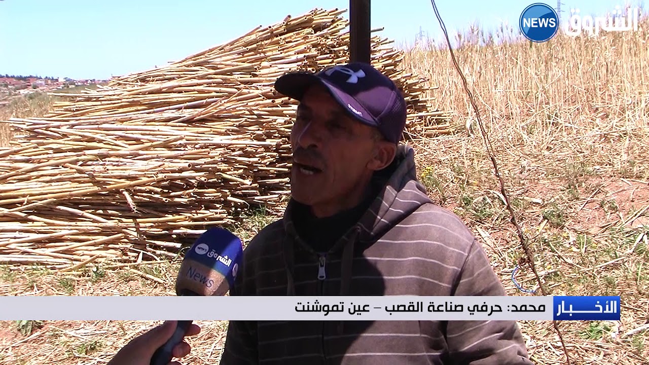 حرفة تحويل القصب ... مصدر دخل العشرات من شباب سيدي بن عدة بعين تموشنت