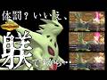 『龍舞バンギラスのわからせ日記』ワニとニンフへの”躾”【ポケモンチャンピオンズ】【Pokémon Champions】