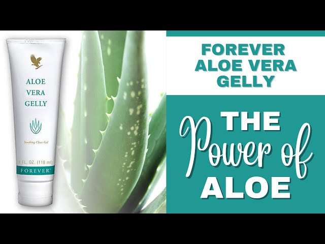 aloe vera gel with hyaluronic acid BioRLX 99% Aloe Vera Gel Collagen Hyaluronic Acid 230ml 8.45 fl oz JAR —  BarberSets main image 0