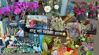 आजु पनि बिहिबारे हाटमा🫣#kalimpong @bibikasubba123 …Vlog___17