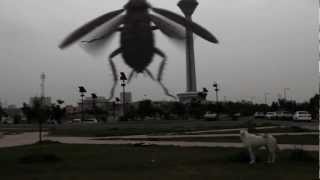 B-Band Announce New Album بی بند - اعلام آلبوم جدید