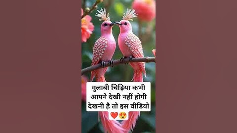 New song 2024 | new hindi song |romantic hindi song | #shorts #viralvideo |#short #trending