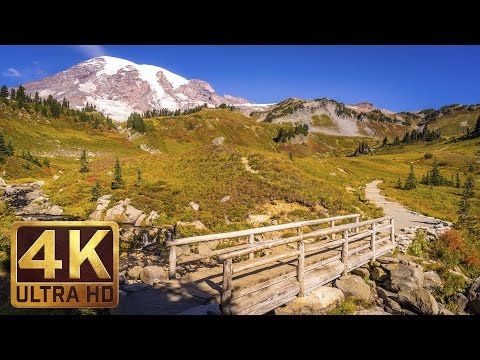 Video: Tarina Laukauksen Takana: Nouseva Mount Rainier - Matador Network