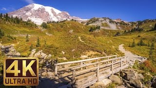 Mount Rainier National Park. Episode 2 - 4K Nature Documentary Film