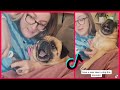 PUG DOG ACTS DRAMATIC CUTTING ITS NAILS | BEST TIKTOK CATS and DOGS | TIKTOK COMPILATION