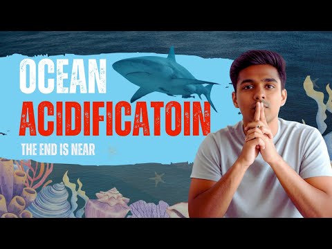What is Ocean