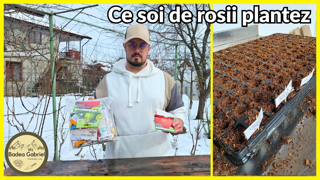 🍅CE RASADURI DE ROSII MERITA PLANTATE IN 2026🍅 - Cele mai bune rasaduri