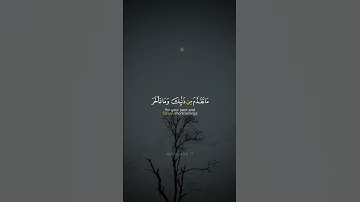 #القرآن_الكريم_راحة_نفسية #تلاوة #صوت_رائع #فيديوهات_دينية_قصيرة ☆☆☆☆☆☆