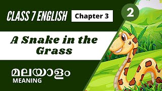 Class 7 | English | A Snake in the Grass | Malayalam Explanation | Unit 1 | Chapter 3 | Part 2