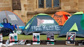 Greens Senator slammed over ‘irresponsible’ post after backing Sydney Uni pro-Palestine protest