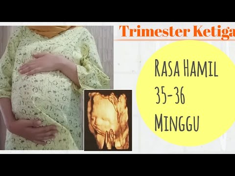 Video: 35 Minggu Mengandung - Perubahan Janin, Sakit Perut, Ultrasound