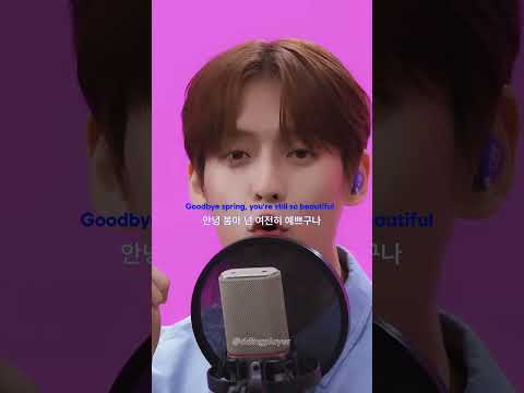 비투비의 따뜻한 봄 시즌송🌸 #shorts #playlist #live