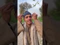 القروض والفوائد فخ لا ينجو منه أحد