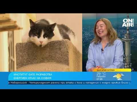 Какво е цифров двойник и как ни помага да се справим с горещото време ...