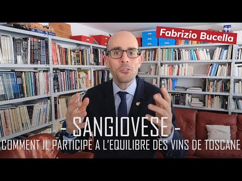 Vidéo: Qu'est-ce Que Montepulciano? Plongez Dans Ce Délicieux Vin Rouge Italien