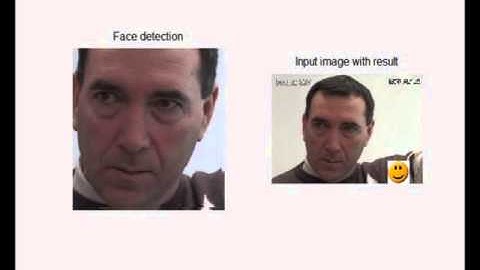 "Pain" detection in videos through facial features analysis