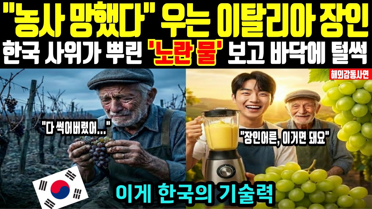 [해외감동사연] 
