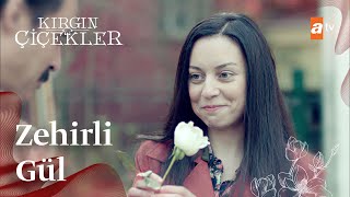 Zehirli gül...🥀| Kırgın Çiçekler Mix Sahneler
