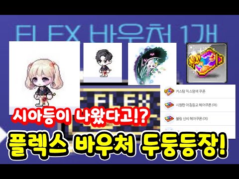 플렉스 <strong>바우처</strong> 등장!! 이걸로 시아등도 사고 난초셋도 사고!? 대박사건 드디어 나온 시원아침등교 헤어!!![메이플스토리]