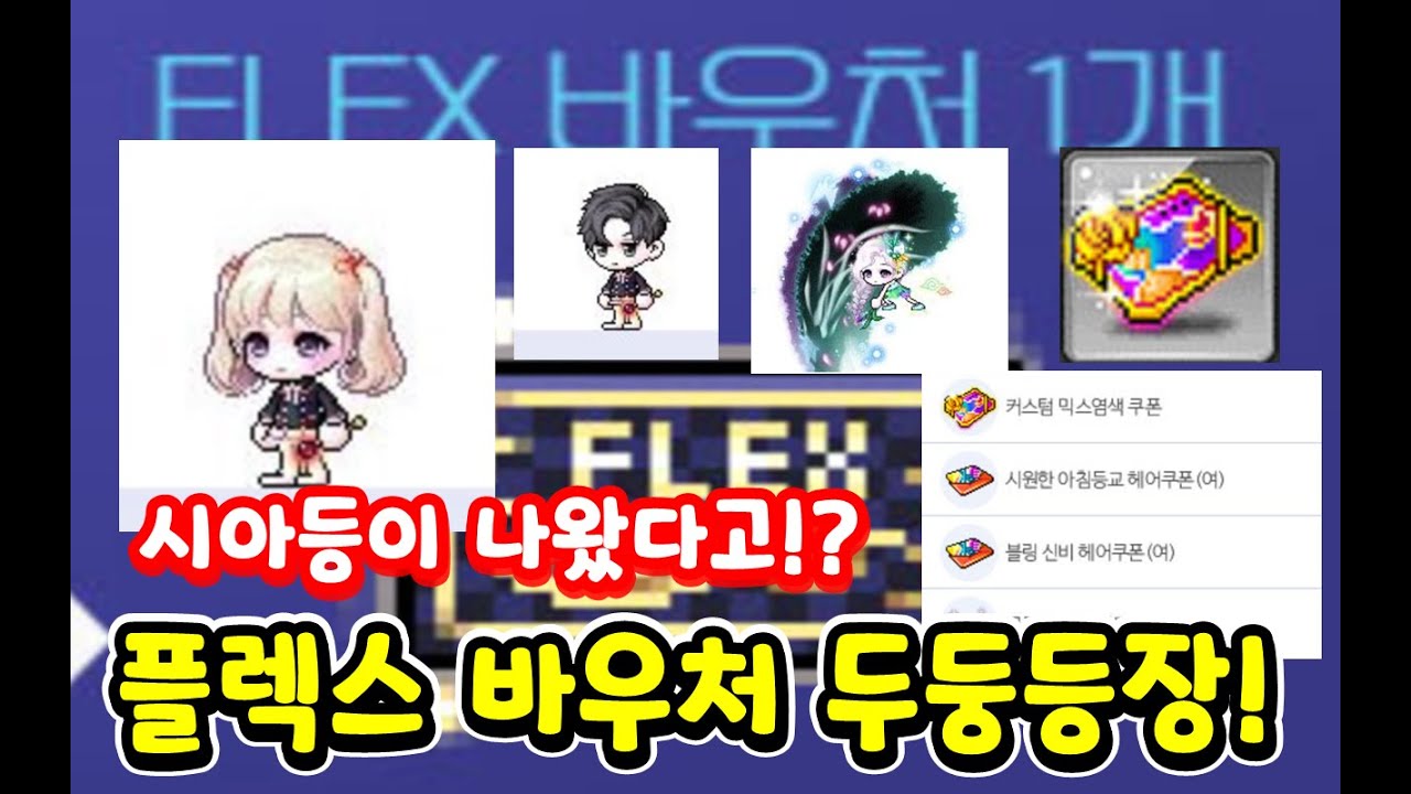 [한자] 긴급속보!! 플렉스 바우처 등장!! 이걸로 시아등도 사고 난초셋도 사고!? 대박사건 드디어 나온 시원아침등교  헤어!!![메이플스토리]