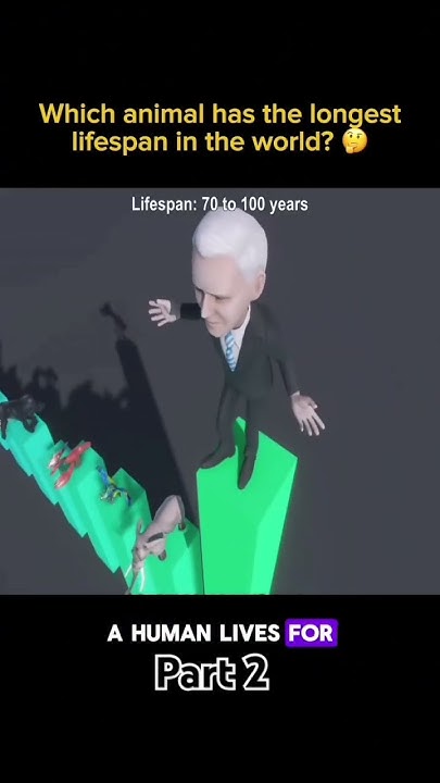 Which Animal Has The Longest Life Span In The World Part 2 which-animal-has-the-longest-life-span-in-the-world-part-2