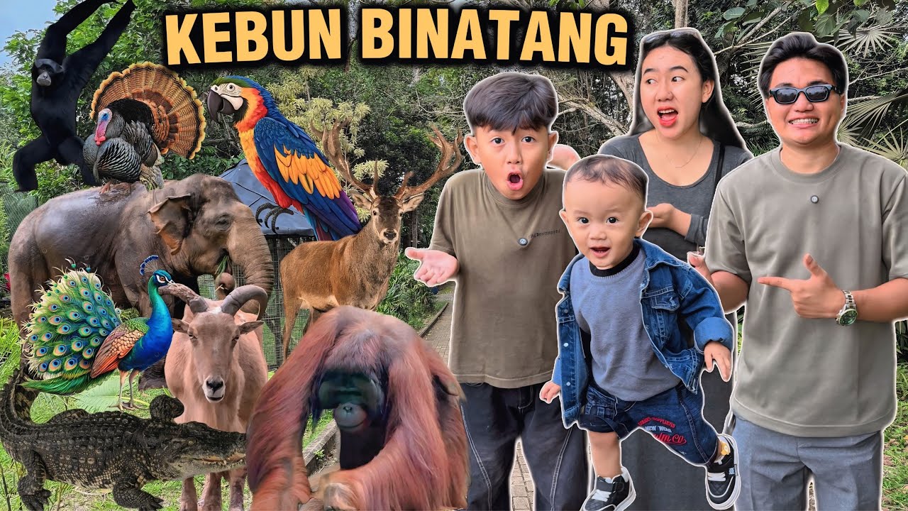 ZULTAN ALLVARO MAIN KE KEBUN BINATANG LEMBAH HIJAU !! ADA GAJAH & BUAYA DAN LAIN LAIN😱Yogafamilly