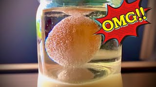 Just Mix Egg with Vinegar and you'll be amazed | experiment at home